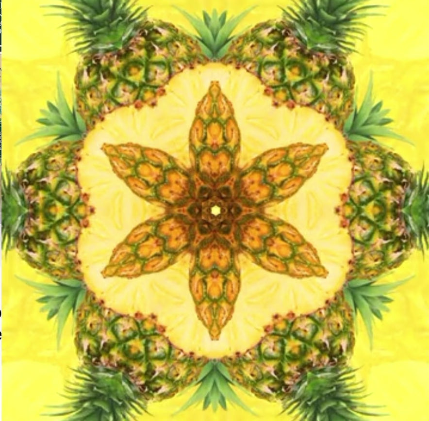 Eyüp Sabri Tuncer 1923 – Premium Erfrischungstücher Hawai Ananas